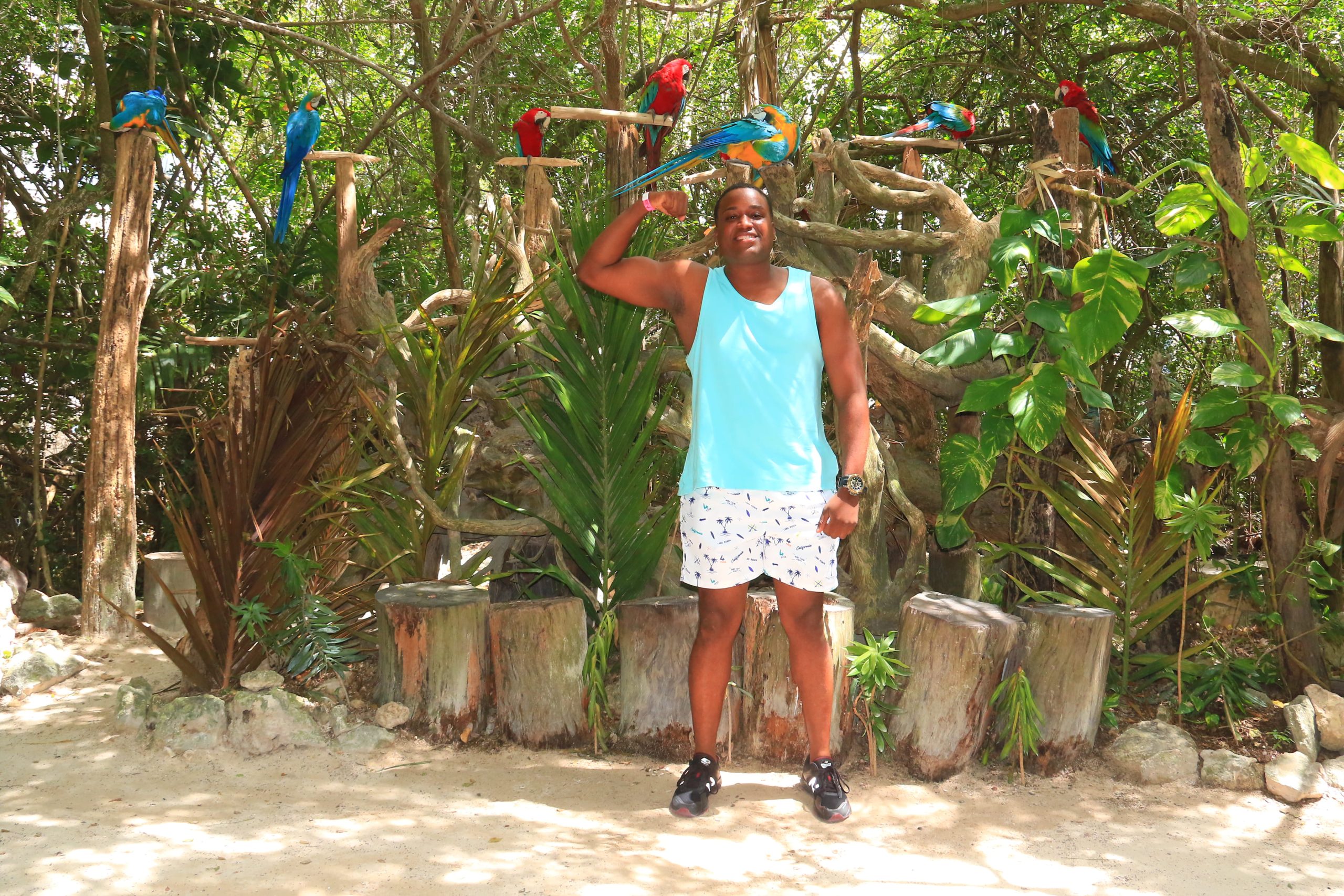 Tours & booking site for Caribbean Punta Cana RD
